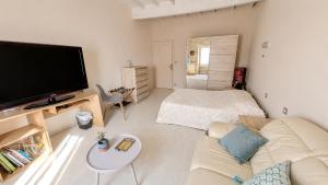 a living room with a couch and a flat screen tv at Grande chambre avec piscine in Villeneuve-sur-Vère +3 photos