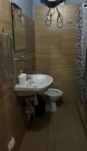 a bathroom with a sink and a toilet and a mirror at Бухта in Nova Dofinivka +15 photos