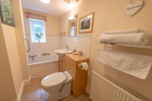 a small bathroom with a toilet and a sink at Ty Derw B & B in Dinas Mawddwy +35 photos