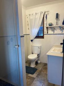 a bathroom with a toilet and a sink at 303 Kusweg Tergniet in Tergniet +9 photos
