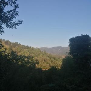 a view of a forest with mountains in the background at La GéoYourte in Saint-Vincent