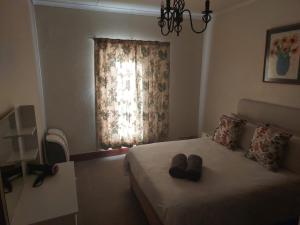 a bedroom with a bed with two pillows and a window at Nguni Cottage in Graaff-Reinet