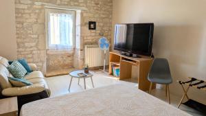 a living room with a couch and a tv at Grande chambre avec piscine in Villeneuve-sur-Vère