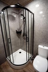 a shower with a white toilet in a bathroom at Mērsraga namiņš in Mērsrags +2 photos
