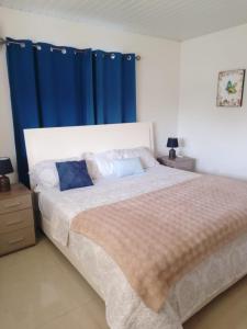 a bedroom with a large bed with a blue curtain at Hidden Gem Savaneta & Private Pool in Savaneta