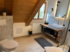 a bathroom with a toilet and a sink at Ferienwohnung Lippert in Pullenreuth +11 photos