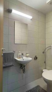 a bathroom with a sink and a toilet at Sophia in Vranje +21 photos