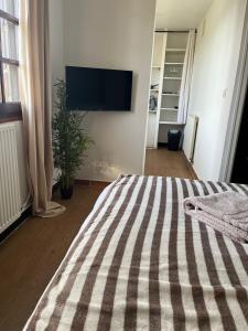 a bedroom with a large bed with a striped blanket at Le Pavillon in Vendôme +6 photos