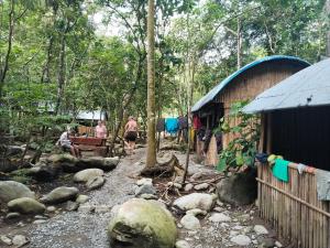 a group of people walking through a forest at Jungle Trekking & Jungle Tour only stay here if you are and you must booking jungle trekking with us in Bukit Lawang
