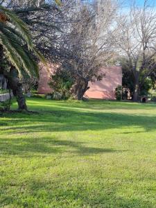 a field of green grass with a palm tree at Cabaña MariaMaria in Pomancillo