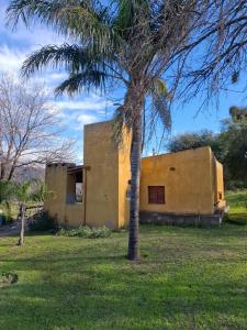 a building with a palm tree in front of it at Cabaña MariaMaria in Pomancillo
