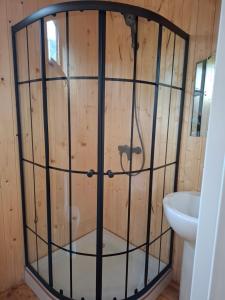 a bathroom with a shower with a toilet and a sink at AnArt resort in Vanadzor
