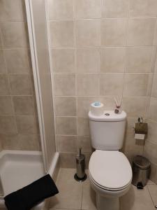 a bathroom with a toilet and a bath tub at Blue House in Ucanha +16 photos