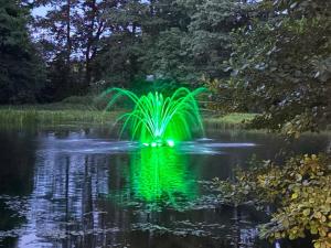 a green fountain in the middle of a pond at Saules nams in Rucava +17 photos