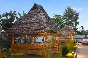 a small hut with a thatched roof at Hakika Homes in Olmotoni