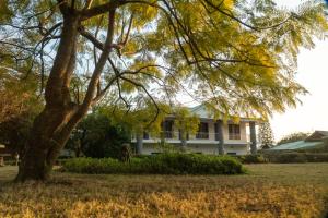 a white house with a tree in front of it at Colonel's Resort in Bīr