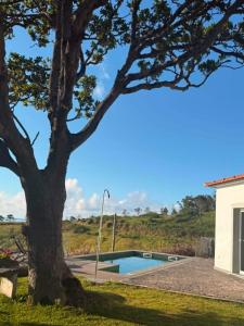 a tree and a swimming pool next to a house at Casas do Pargo- Casa A - Oak Tree House in Lombada Velha