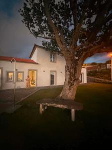 a bench under a tree in front of a house at Casas do Pargo- Casa A - Oak Tree House in Lombada Velha