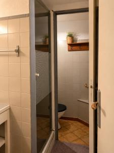 a bathroom with a toilet and a glass door at Duplex le Grimpeur - Les Apparts du Sancy in Chastreix