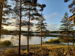 a view of a lake with trees in the foreground at Aijas Semesterstugor in Vaasa