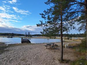 a picnic table on the beach next to a lake at Aijas Semesterstugor in Vaasa