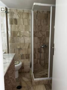 a bathroom with a shower and a toilet at Grecos in Perissa +29 photos
