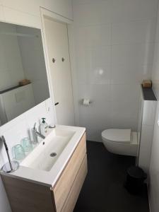 a white bathroom with a sink and a toilet at Het Atelier Schuring - Luxe vakantiehuis 78m2 in Numansdorp +17 photos