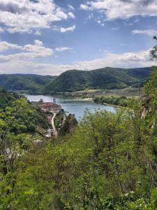 a view of a river from a hill with trees at Pension Landhaus Ingrid in Loich