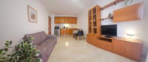 a living room with a couch and a flat screen tv at Cosy Apartament Figueres in Figueres