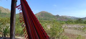 a red hammock with mountains in the background at Finca LA HERMOSA in Guzmán +11 photos