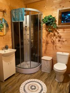a bathroom with a shower and a toilet and a sink at Nela Martiany in Martiany