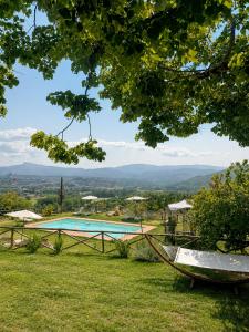 a hammock in the grass next to a swimming pool at Tenuta Seriole in Poppi +43 photos