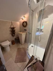 a bathroom with a shower and a toilet at Les CHAMBRES des EAUX in Sarcey