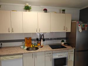 a kitchen with white cabinets and a sink and a refrigerator at Apartamento cerca de Haro in San Vicente de la Sonsierra +6 photos