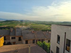 a view from the roof of a building at Apartamento cerca de Haro in San Vicente de la Sonsierra