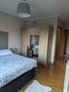 a bedroom with a bed and a large mirror at Apartamento cerca de Haro in San Vicente de la Sonsierra
