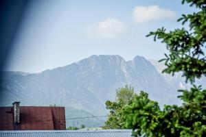 a mountain in the distance with a building and trees at Cichowiański Folk & Prestige in Poronin
