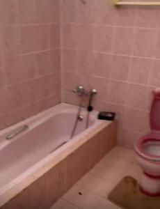 a bathroom with a toilet and a bath tub at Shivram guest house in Plaine Magnien +5 photos