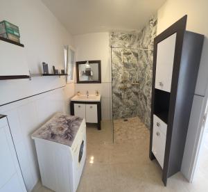 a bathroom with a shower and a sink and a mirror at Maison rénovée avec terasse et jardin privé, aéroport et Aix-en-Provence à 15 minutes in Velaux