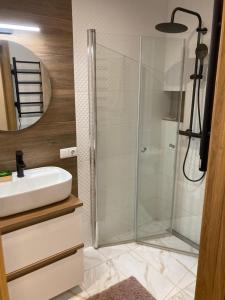 a bathroom with a shower and a sink at Mājīgie Apartamenti Saldū in Saldus