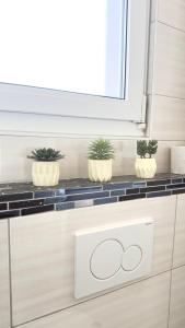 a kitchen with three potted plants on a counter at Basel Haven in Münchenstein +127 photos