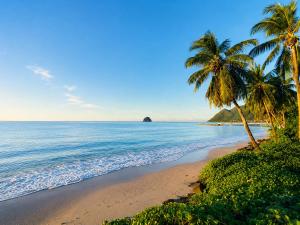 a beach with two palm trees and the ocean at TI kasa cherry in Le Diamant +7 photos