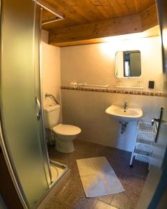 a bathroom with a toilet and a sink at Pension Skalicky in Pec pod Sněžkou