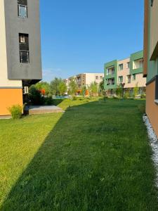 a grassy yard between two buildings at Beside Gardens in Otopeni