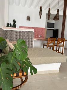 a dining room and kitchen with a table and a plant at Departamento in Lo de Marcos