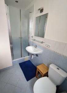 a bathroom with a toilet and a sink at Apartmán 24 in Medzilaborce