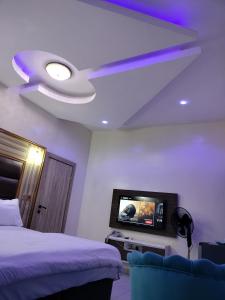 a bedroom with a ceiling fan and a tv at UG Apartment Lagos in Isagatedo +4 photos