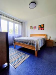 a bedroom with a bed and a window at Apartmán 24 in Medzilaborce