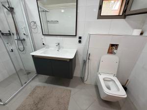 a bathroom with a sink and a toilet and a shower at Les Plamiers d'anis in Ouarzazate +41 photos
