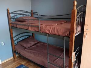 a couple of bunk beds in a room at Hostel COMFORT in Mukacheve